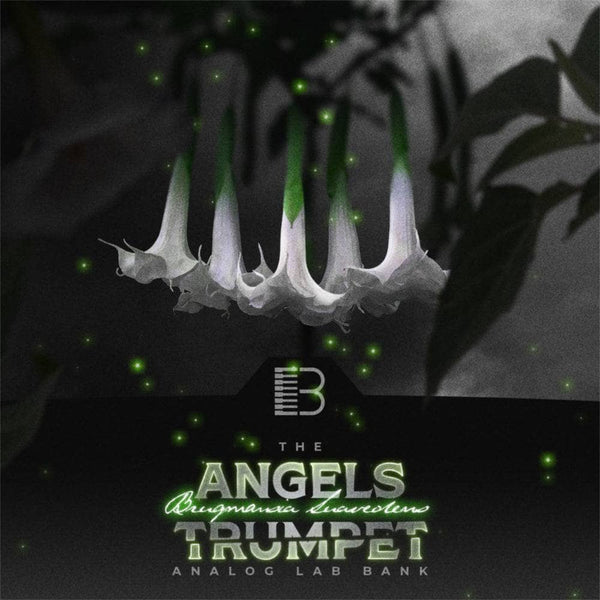 Angels Trumpet (Analog Lab Bank)