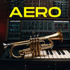 AERO: Melodies in Motion