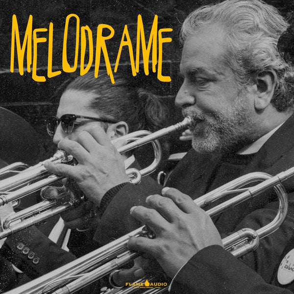 MELODRANE: Orchestral Samples