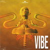 Vibe Loop Kit