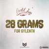 28 Grams Sylenth1 Bank