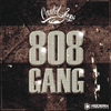 808 gang by Cartel Loops
