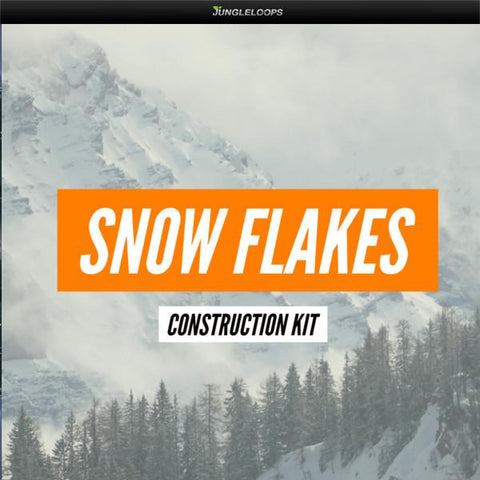Snow Flakes - Frank Dukes Type Beats