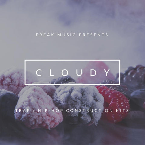 Cloudy - Construction Kit + Drum One-Shots, Loops & Presets