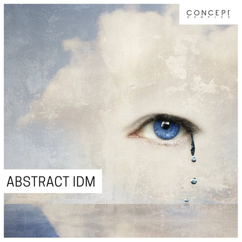 Abstract IDM