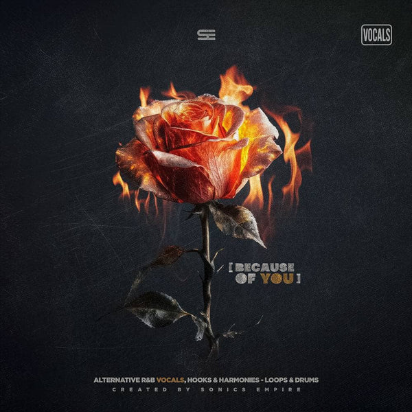 Because of You: Alt R&b Vocals