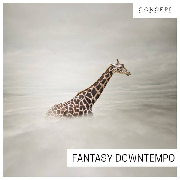 Fantasy Downtempo