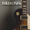 Wild Ones: Spanish Guitar Stems