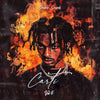 CARTI vol 6