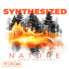 Synthesized Nature Loops and Sounds