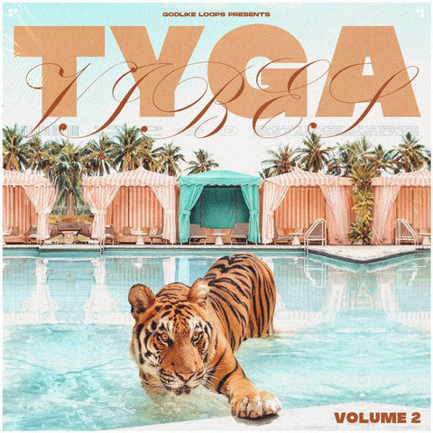 Tyga Vibes Vol 2