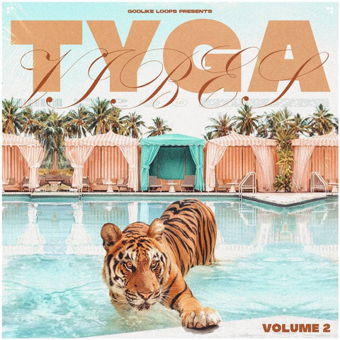 Tyga Vibes 2 - Tyga Inspired Beats
