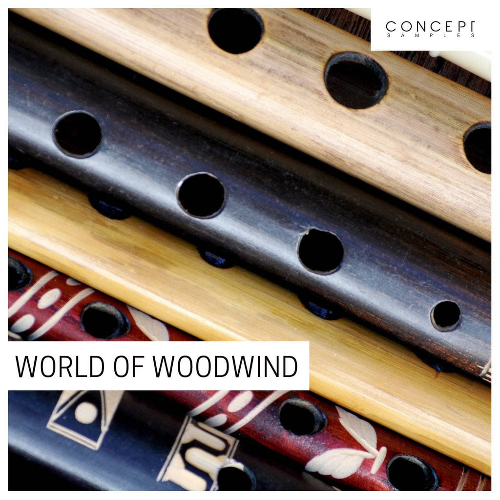 Wind Instruments Design Woodwind Instruments Flute