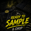 The Crate Diggers (Samples)