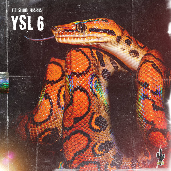 Ysl Vol.6