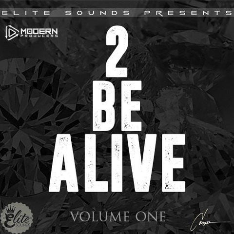 2 Be Alive Vol.1 (Drake & Future Loop Kit)