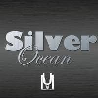 Silver Ocean