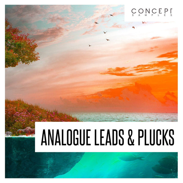 Analogue Leads & Plucks