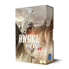Angel Arps (Omnisphere 2 Library) - Arp Presets