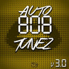 Auto 808 TuneZ Vol.3 (Loop Pack)