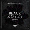 Black Roses Vol.2 - Seductive R&B and Hip Hop