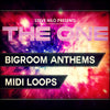 Bigroom Anthems (MIDI Loops)