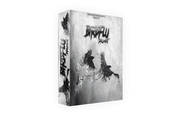 BirdFlu Drum Kit