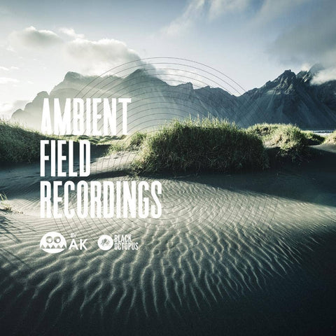 Ambient Field Recordings