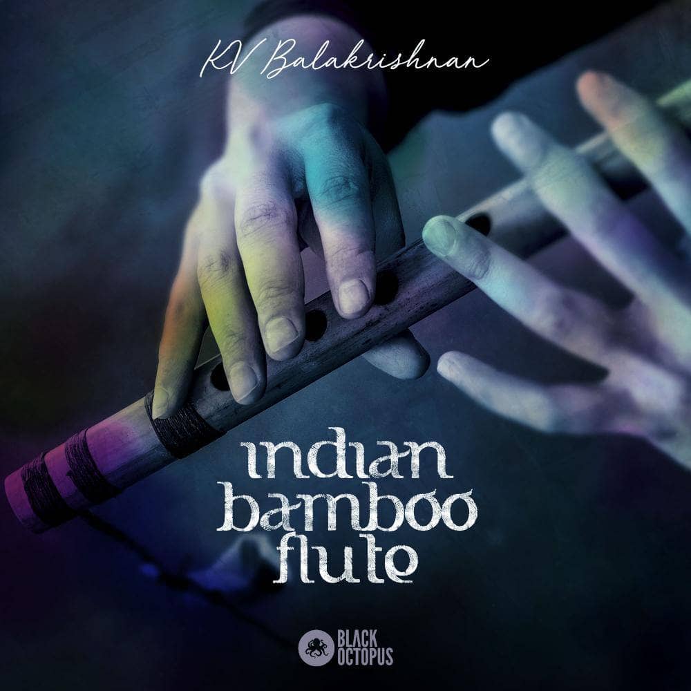 Indian flute on sale vst