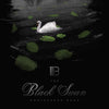 The Black Swan