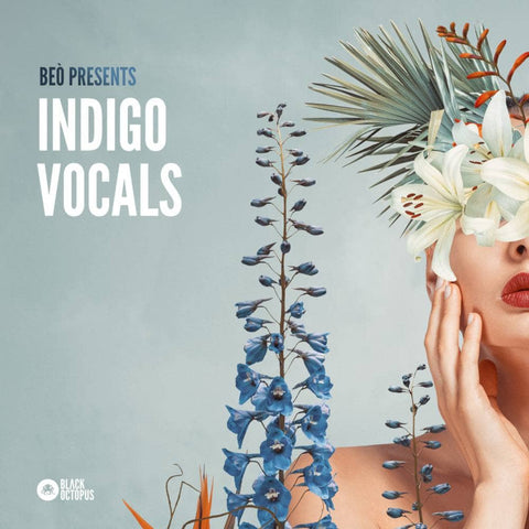 Beò Presents Indigo Vocals