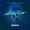 Blue Rose