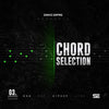 Chord Selection 3 - Chords, Melodies & Vocal Samples