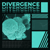 Divergence