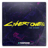 Cybertones