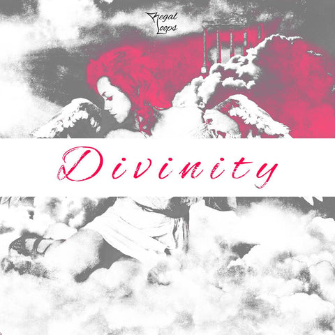Divinity - Orchestral Trap & Hip Hop Construction Kit