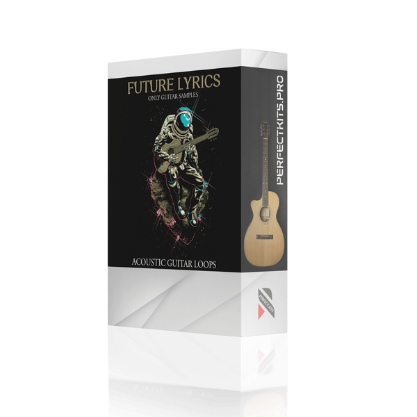 Future Lyrics (Guitar Samples)