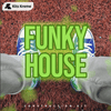 Funky House - WAV & MIDI Loops + Serum Presets