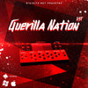 Guerilla Nation VST - 130 Presets