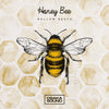 Honey Bee (Mellow Beats) - Melody Loops