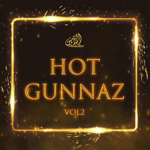 Hot Gunnaz Vol 2