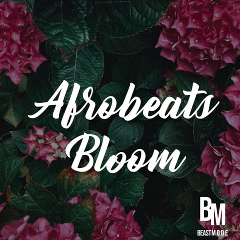 Afrobeats Bloom