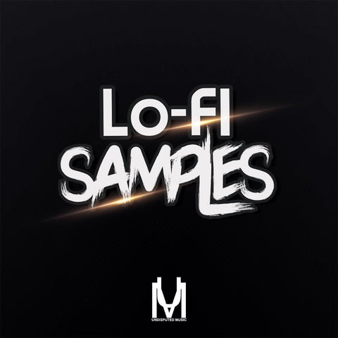 Lo-Fi Samples - Construction Kits