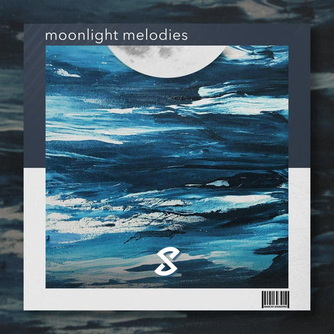 Moonlight Melodies - 15 Wet & Dry Loops