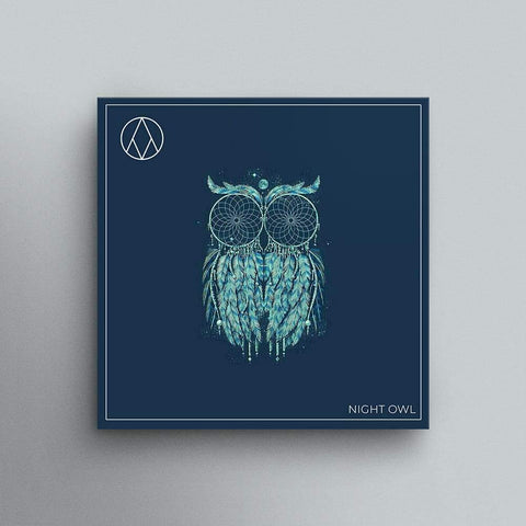 Night Owl - Trap/Hip Hop Drum Kit & Melody Loops