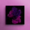 Purple Clouds Vocal Library 2 - Smooth Vox