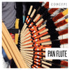 Pan Flute