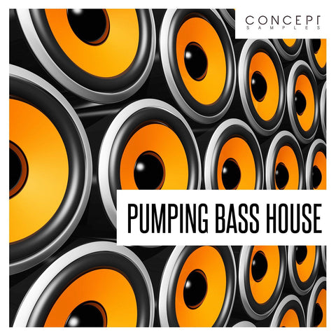 Pumping Bass House