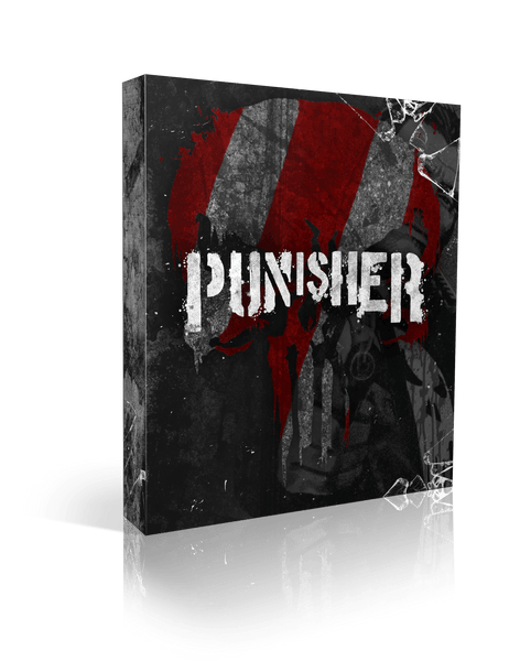 Punisher VST