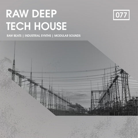 Raw Deep Tech House - Loops